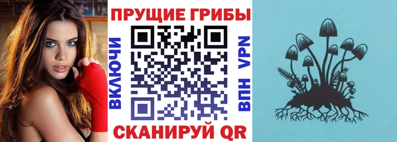 Галлюциногенные грибы Cubensis  Королёв 